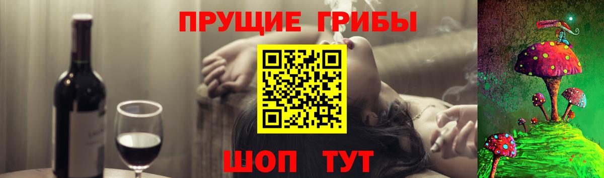 Псилоцибиновые грибы MAGIC MUSHROOMS  Вход с VPN  Чайковский 